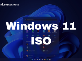 Windows 11 iso file